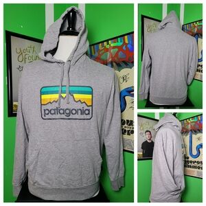 Patagonia Men’s Small Hoodie – Organic Cotton Logo Pullover – Gray